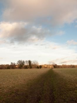 muddy brown pathway through farm field grass winter bare trees; essex; england; uk