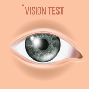 Human Eye Vector. Sight, Eyesight. Body Care. Realistic Detail Vision Illustration. Human Eye Vector. Vision Concept. Clinic Medical Eye Diagnostic. Realistic Detail Illustration