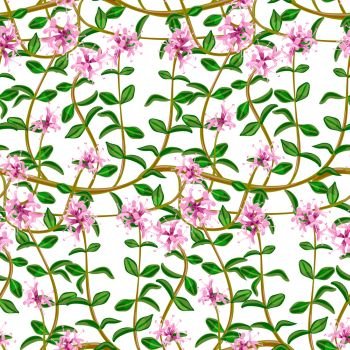 Flowering fresh thyme. seamless pattern. Flowering fresh thyme. Seamless pattern. Vector illustration. green and pink curls. For textile, decoration, packing, wrapping prints