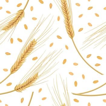 Wheat ears isolated on white background. seamless pattern vector. Golden spike and grains. Wheat ears with grains isolated on white background. Golden spike. Side view. Close up. seamless pattern vector. For cooking, food design, cosmetics, diet, medicine, health care, ointments baking