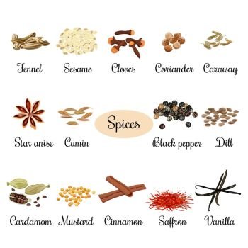 Icon set with titles of popular culinary spices. Big set of culinary spices realistic. Isolated vector illustration. cloves, star anise, cinnamon, vanilla, fennel, sesame, coriander, caraway, cumin black pepper dill cardamom mustard saffron