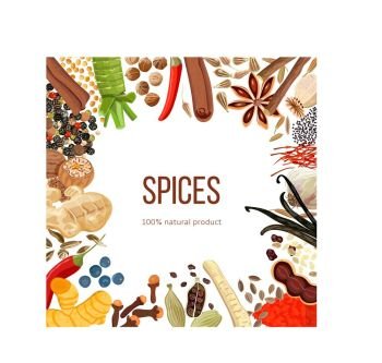 Ornament made of Spices with text 100 natural product. Ornament made of Spices with text 100 natural. Vector illustration. Food design for shop, market, health care products, spa salon, ready logo, banner, tag, template. Your text in frame of spices