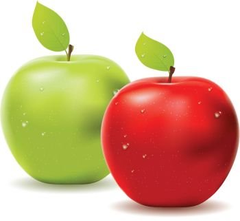 Two apples, red and green one on white background.. Green apple and red apple