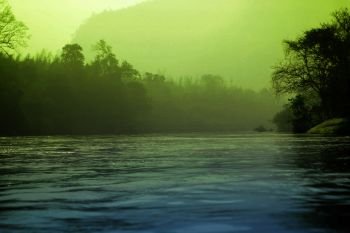 Fog mystic river and forest landscape. Green tone.