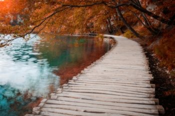 Wooden path across beautiful lake in sunny autumn forest