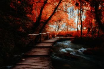 Wooden path across small creek in red autumn forest