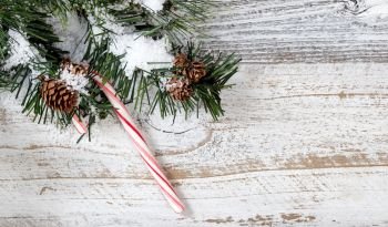 Christmas candy cane ornament hanging in rough fir tree branch on rustic white wooden background