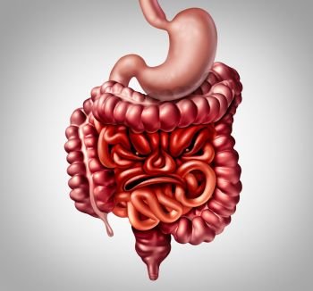 Irritable bowel syndrome diagnosis and symptoms of intestine and colon inflammation pain as intestines shaped as an angry face with 3D illustration elements.