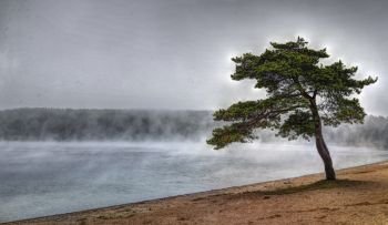 Solitude morning in october. Autumn fog over quiet lake  