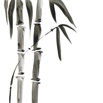 Bamboo in Japanese painting style. Traditional Beautiful watercolor hand drawn illustration. Bamboo in Japanese style. Watercolor hand painting illustration