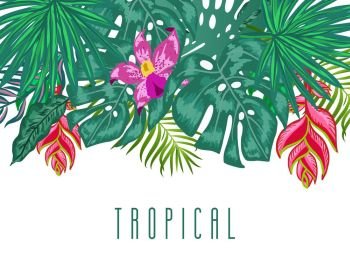 Green summer tropical background with exotic palm leaves. Green summer tropical background with exotic palm leaves, hibiscus and heliconia flowers, plants on white background and place for your text.. Vector floral banner design