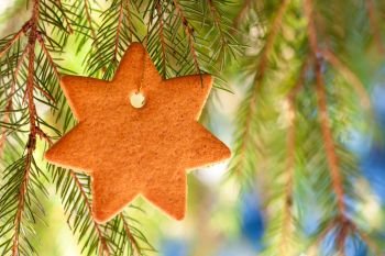 close-up of a ginger star suspended on a branch of fir in the forest