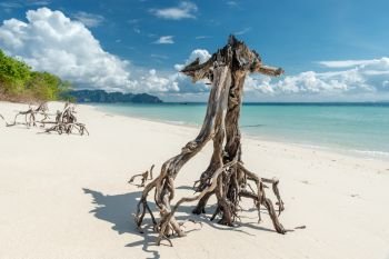 close-up of dry log driftwood on white sand against the backdrop of beautiful sea and mountains, Poda island, Thailand