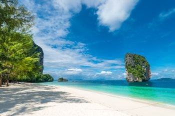 photo view of Krabi in the shade of a tree on the beach, Thailand