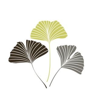 Ginkgo biloba leaves. Vector Illustration ginkgo biloba leaves. Nature background with leaves.