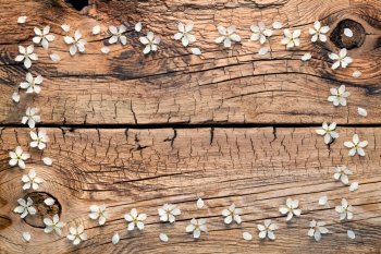 Spring flowers on wooden background. Copy space. Top view