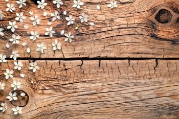 Spring flowers on wooden background. Copy space. Top view