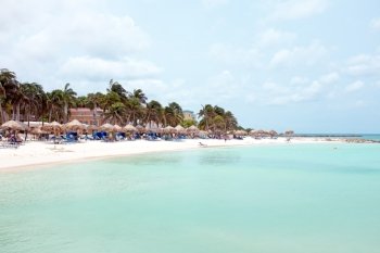 Palm beach on Aruba island in the Caribbean