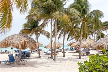 Palm beach on Aruba island in the Caribbean Sea