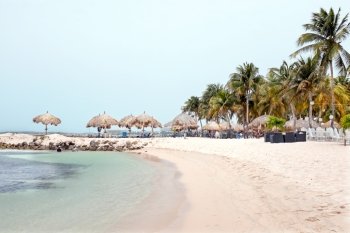 Palm beach on Aruba island in the Caribbean Sea