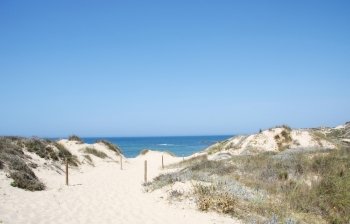 dunes at Milfontes beach, south west of Portugal