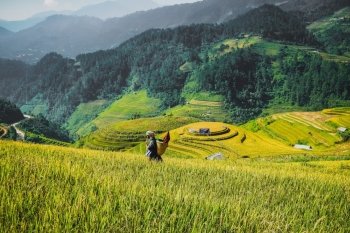 Farmer and on Rice fields terraced of Mu Cang Chai, YenBai, Vietnam;