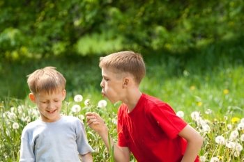 Two boys laugh and blow on a dandelion