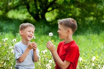 Two boys laugh and blow on a dandelionV