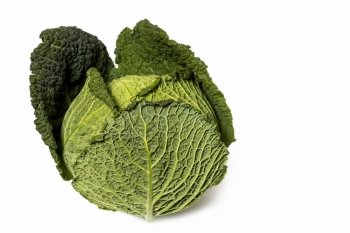 Savoy Cabbage (close-up shot) isolated on white background. Savoy (isolated On White)
