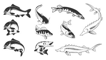 Set of river fish marks. River carp, crucian carp, perch, pike, catfish, perch, sturgeon.  Design element for logo, label, emblem, sign, brand mark. Vector illustration.