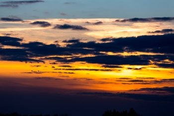 Birds flying in sunset against the evening sky