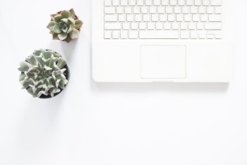 Flat lay of white laptop computer with pots succulent plant on white background with copy space