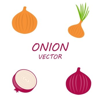 Vector Onion icons set. Vector Onion icons set on white background