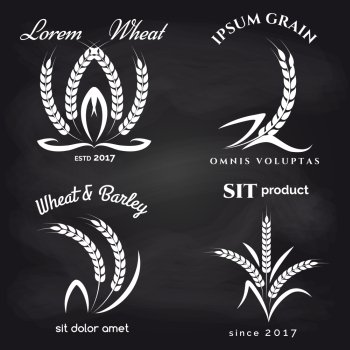 Grains product label on chalkboard. Grains product label on chalkboard design. Vector illustration