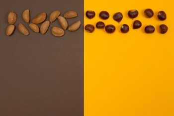In shell raw nuts in row isolated on an orange brown split background