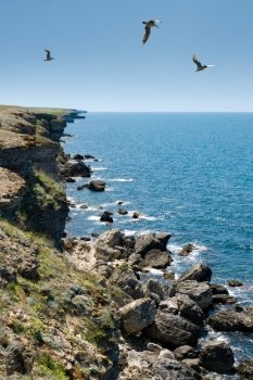 The Black Sea, rocks, sea gulls, sunny day.