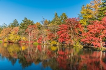 Autumn colours of Kumoba  pond,Karuizawa,Japan