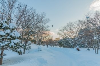 The next day the heavy snow fell, the town area of Sapporo city,Hokkaido,Japan