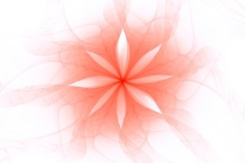 Abstract red fractal bloom or star on white background.