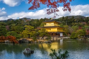 Kinkakuji Temple (The Golden Pavilion) with autumn maple in Kyoto