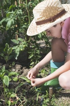 Child planting plans in a garden. Sunlight