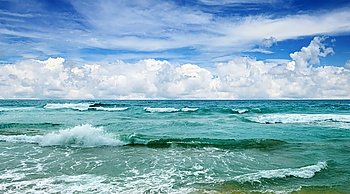 beautiful waves in the sea