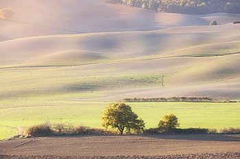 Sunny countryside valley. Tuscany, Italy, Europe.