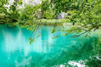 Extremely clear water of Plitvice Lakes, Croatia. Rainy day.