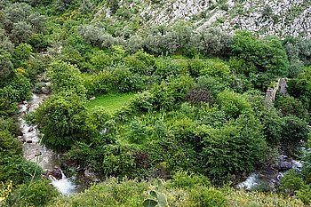 River and green bush near Old Bar in Montenegro                               