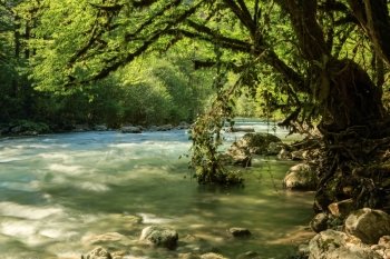 Aapsta mountain river, Abkhazia.