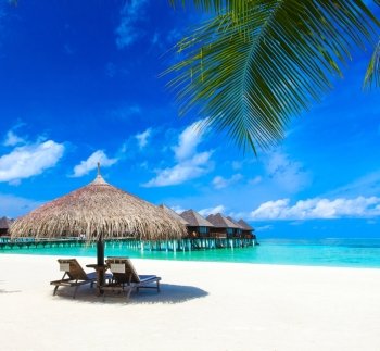  tropical beach in Maldives with few palm trees and blue lagoon