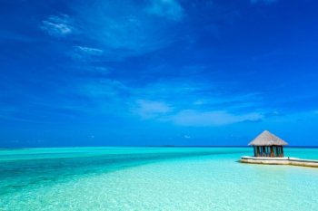 beach in Maldives with few palm trees and blue lagoon

