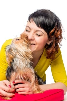 Yorkshire terrier kisses his favorite mistress on a white background