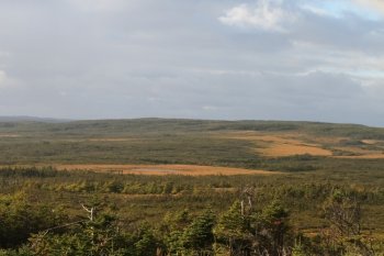 view of Trinity, Newfoundland,Canada